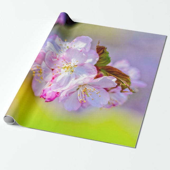 Papel De Presente Aglomerado Global De Incríveis Flores De Sakura Ro (Desenrolado)