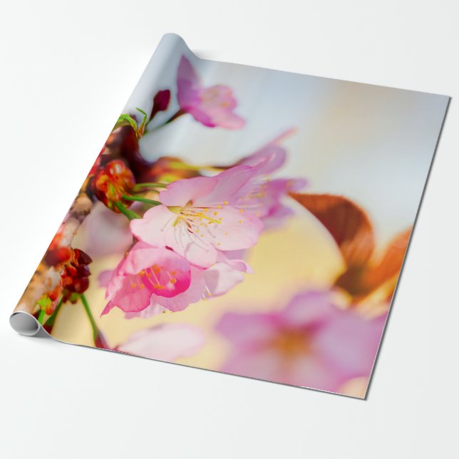 Papel De Presente Aglomerado Vertical De Flores Sakura (Desenrolado)