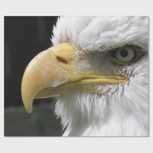 PAPEL DE PRESENTE ÁGUA ÁGUA DE PRESA