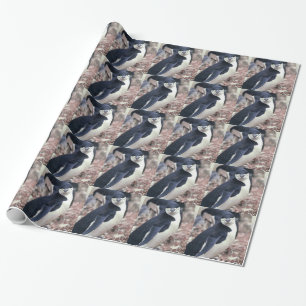 Papel De Presente Água branca preta animal bonito do pássaro do
