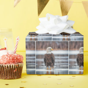 Papel De Presente Águia Balda No Lago Gelo