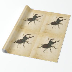 Papel De Presente Albrecht Durer Stag Beetle Renaissance Vintage Art