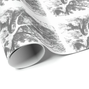 Papel De Presente Alice no País das Maravilhas Cheshire Cat WrapPape