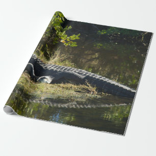 Papel De Presente Alligador no Sol