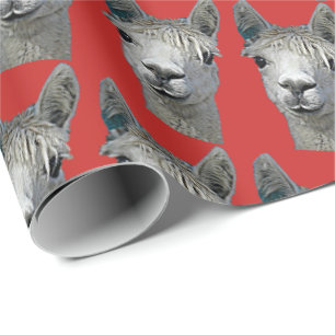 Papel De Presente Alpaca no papel vermelho