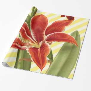 Papel De Presente Amaryllis do vintage