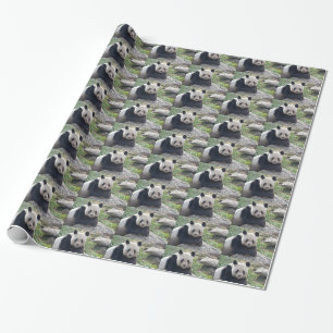Papel De Presente Amigo Giant Panda