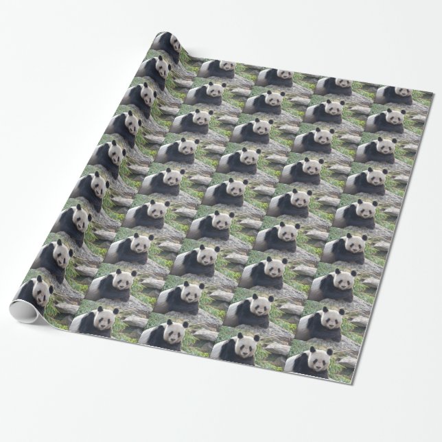 Papel De Presente Amigo Giant Panda (Desenrolado)