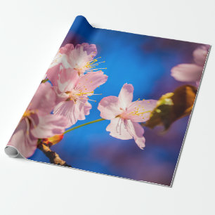 Papel De Presente Amigos de Sakura