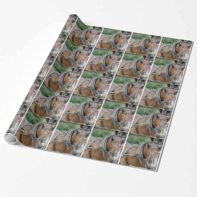 Papel De Presente Amish Horse e Buggy (Desenrolado)