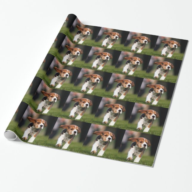 Papel De Presente Amor de filhote de cachorro do lebreiro (Desenrolado)