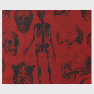 Papel De Presente Anatomia de esqueletos negros e criminosos