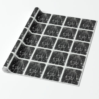 Papel De Presente anatomia do esqueleto humano yaie tokyo