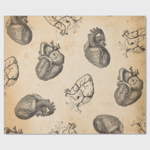 Papel De Presente Anatomia Vintage