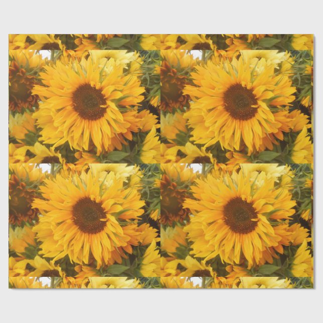 Papel De Presente Andriola (Aberto)