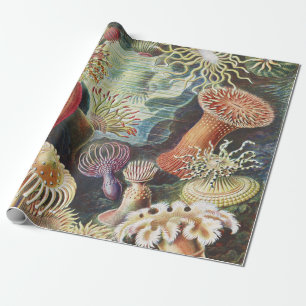 Papel De Presente Anêmonas-do-mar de Haeckel Colagem de arte náutica
