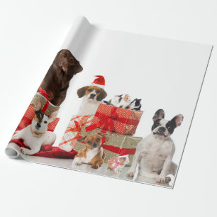 Papel De Presente Animais de estimação em Papai Noel molham papel de