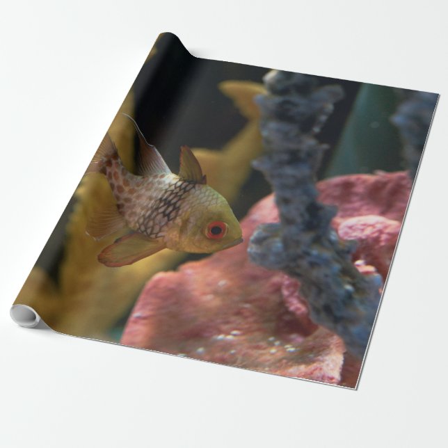 Papel De Presente Animais do mar (Desenrolado)