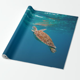 Papel De Presente Animais do mar legal