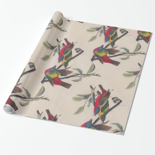 Papel De Presente Animais Selvagens de Aves Pintadas com Audubon