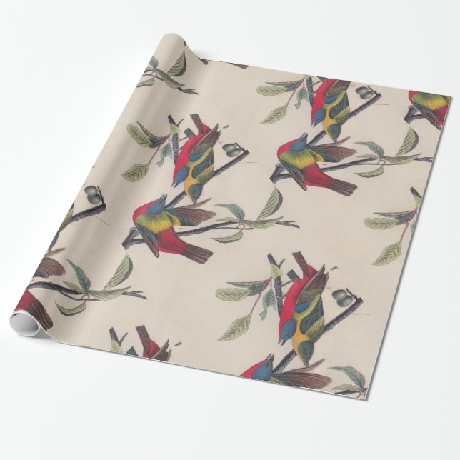 Papel De Presente Animais Selvagens de Aves Pintadas com Audubon (Desenrolado)