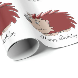 Papel De Presente Aniversário de Hedgehog