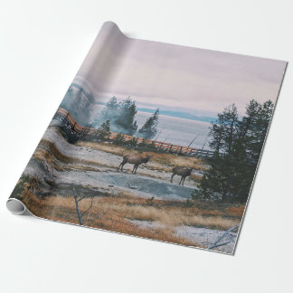 PAPEL DE PRESENTE ANTES DO SOL NO PARQUE NACIONAL YELLOWSTONE