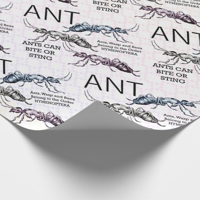 Papel De Presente Ants Insetos Insetos (Ponta)