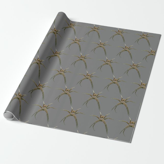 Papel De Presente Aranha (Desenrolado)