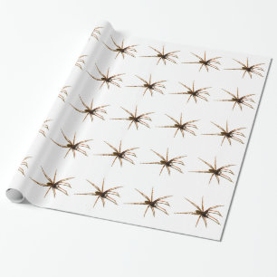 Papel De Presente Aranha
