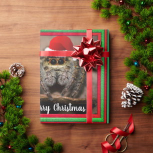 Papel De Presente Aranha-mergulhadora divertida no Natal 