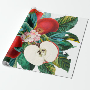 Papel De Presente Arranjo de fruta de maçã botânica, antigo t