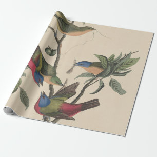Papel De Presente Arte Colorida de Pintassilgo Pintado Audubon Vinta