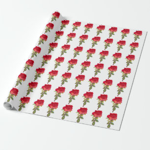 Papel De Presente Arte da rosa vermelha no fundo branco