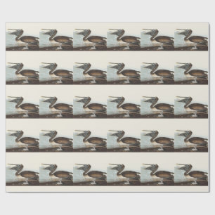 Papel De Presente Arte de Pássaro Costeiro de Pelicano Marrom Audubo