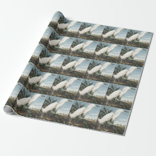 Papel De Presente Arte de pássaro Garça Branca Audubon Vintage