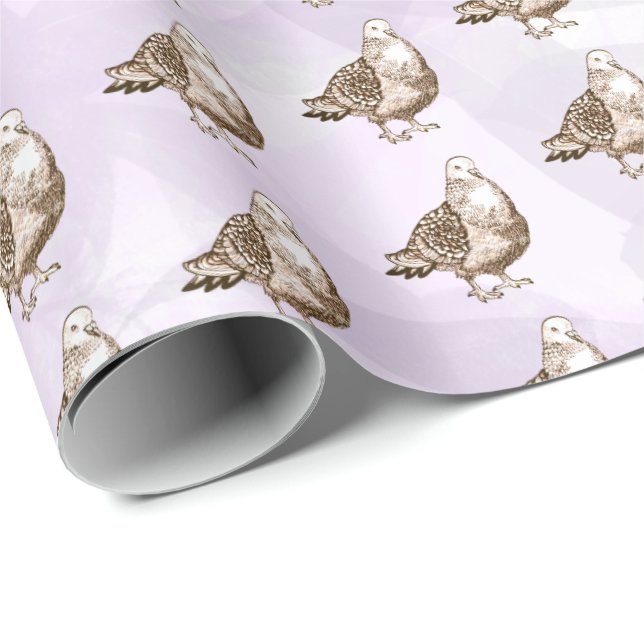 Papel De Presente Arte de Pombo Esboço de Ave Preto e Branco (Ponta do rolo)