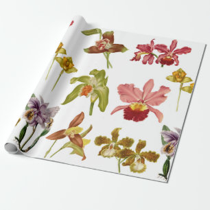 Papel De Presente Arte do Jardim Botânico Flores das Orquídeas Vinta