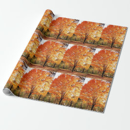 Papel De Presente Árvore de bordo outonal / Folhas laranjas