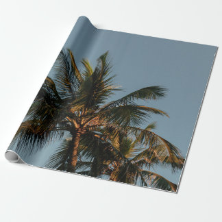 Papel De Presente Árvore de coco alto