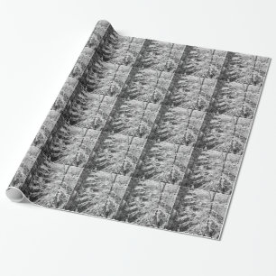 Papel De Presente Árvore de Mapeamento Descrito Em Neve