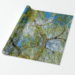 Papel De Presente Árvore de pássaros - Primavera está no ar