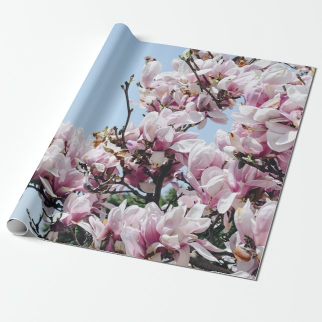 PAPEL DE PRESENTE ÁRVORE DE SANGUE DE CHERRY (Desenrolado)