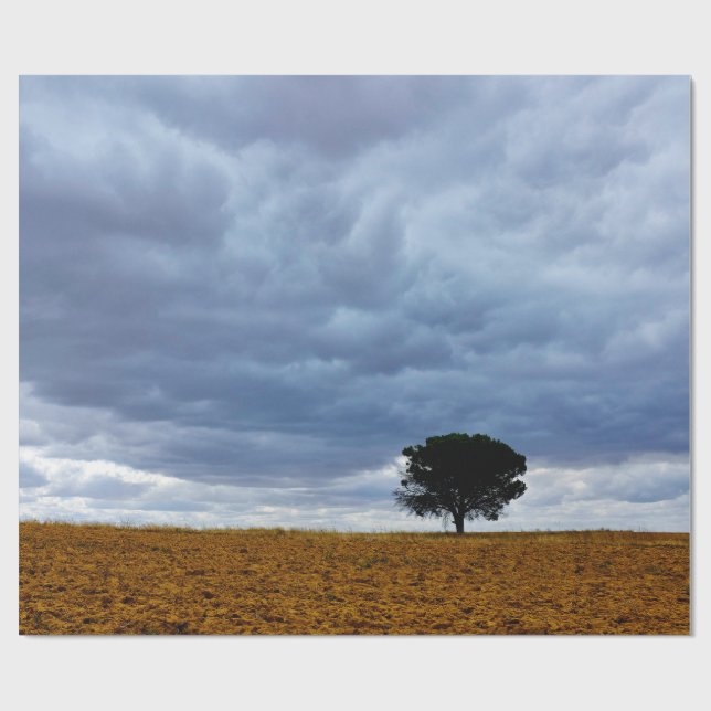 Papel De Presente Árvore em um campo vazio (Aberto)