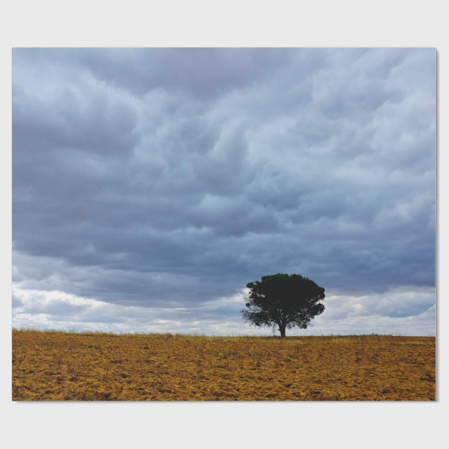Papel De Presente Árvore em um campo vazio (Aberto)