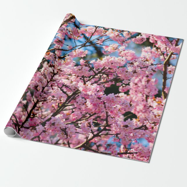 Papel De Presente Árvore Sakura Respiratória Em Sangue Rosa (Desenrolado)
