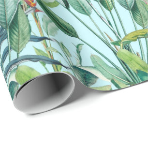 Papel De Presente Árvore Tropical de Banana Verde 