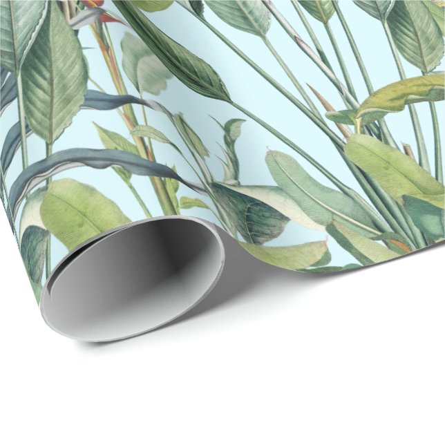 Papel De Presente Árvore Tropical de Banana Verde Tropical Strelitzi (Ponta do rolo)