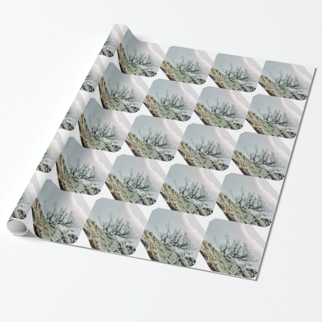 PAPEL DE PRESENTE ÁRVORES (Desenrolado)