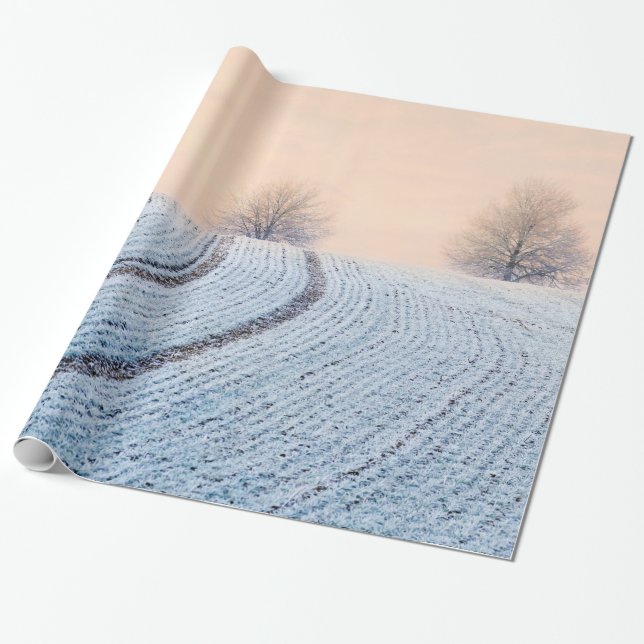Papel De Presente Árvores Cênicas da Paisagem de Inverno com Present (Desenrolado)